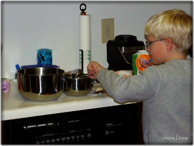 Project 366 Day 56 B