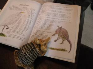 Andy reading his new favorite book.