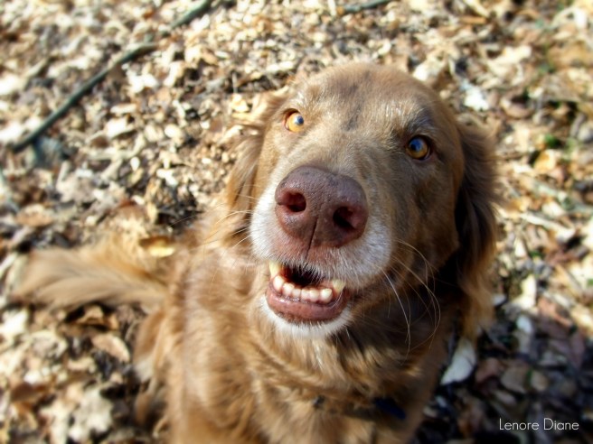 Project 366 Day 72 A