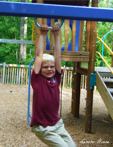 Project 366 Day 230 (2)