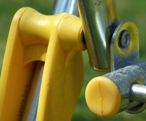 What is it this time